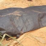 Wife hits 100 year old man with fufu pounding stick to death