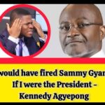#Ghanaian Politician's Hypothetical Scenario Sparks Debate