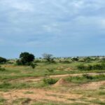 From Kumasi to Kumawu: A New Home for the Zoo and Central Prison