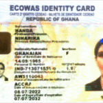 Niharika Handa Case